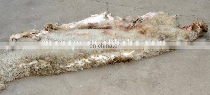 Cattle skin hair removal machine|cow skin dehair machine in United States