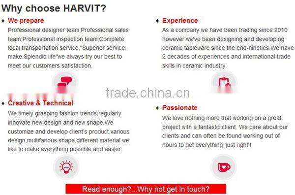 Porcelain Dinner Set/Customized Dinnerware Sets/Square Shape Plates Ceramic/Beautiful Decal Tea Coffee Cup & Saucer