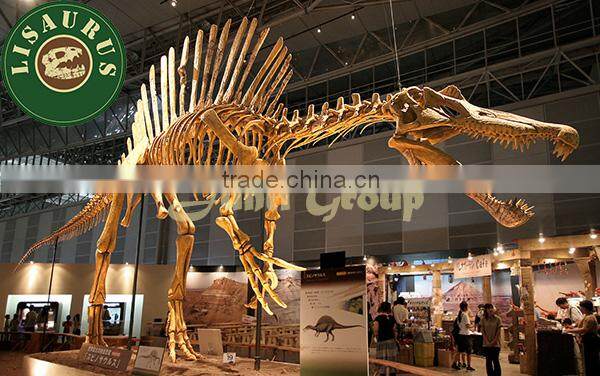 Lisaurus-G hot sell small size replica dinosaur fossil from China