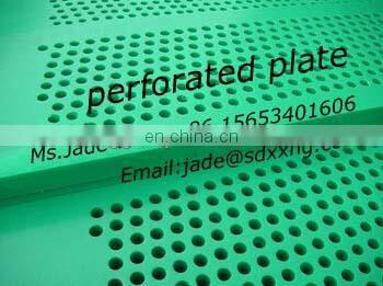 Economic perforated sheet in PP PVC and HDPE plastic sheet