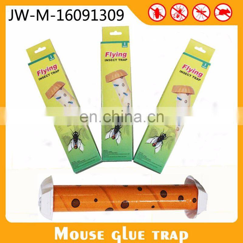 Adhesive Fly Trap Fruit Fly Paper Board