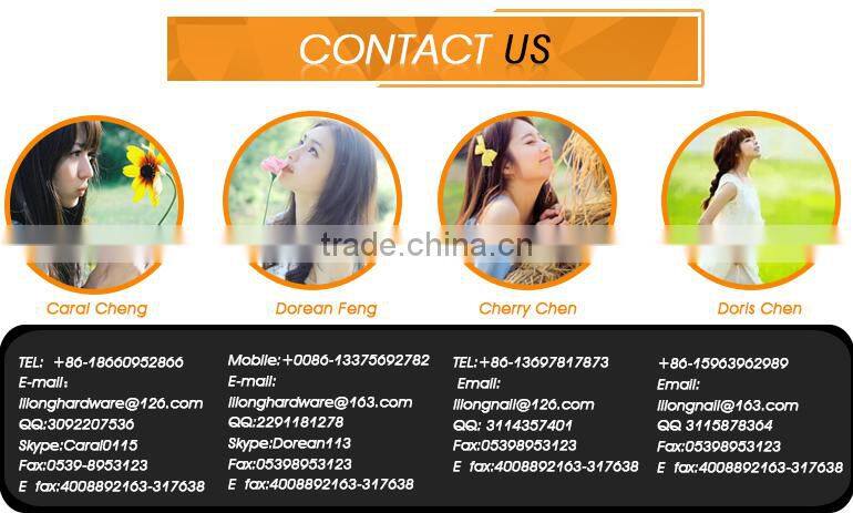 Galvanized Steel Concrete Nail Manufacture