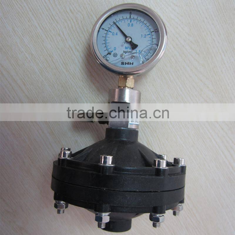 Stainless Steel 304 Diaphragm Pulsation Damper for Water Treatment