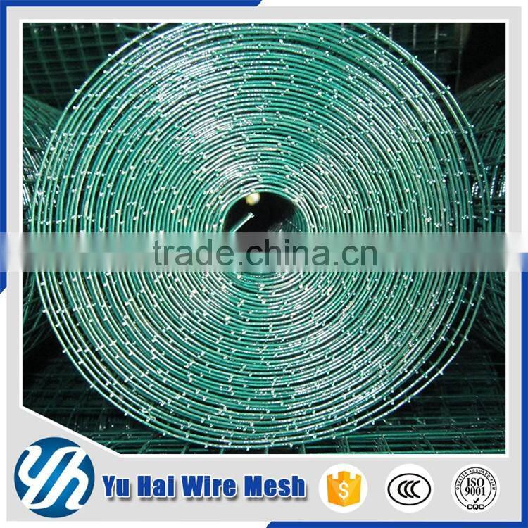 1/2 inch pvc coated welded bird cage wire mesh