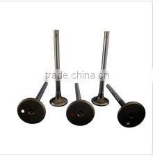 valve for car engine