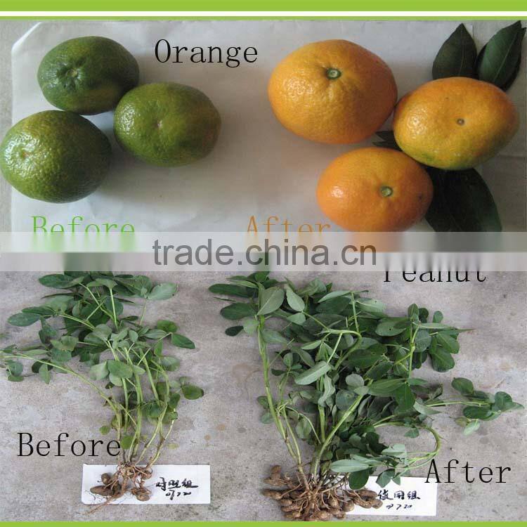 water soluble powder Compost amino acid hydrolysis for agriculture and fungicide