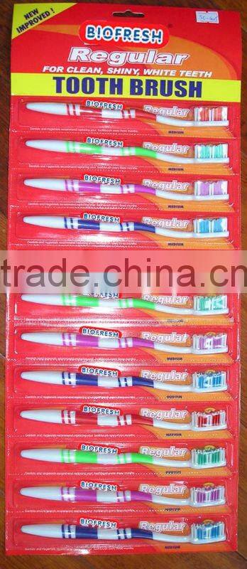 paper hanging toothbrush SCG05