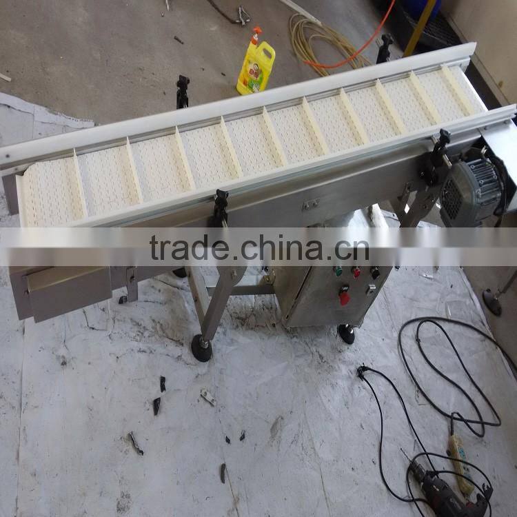 plastic belt lifting conveyor by customized