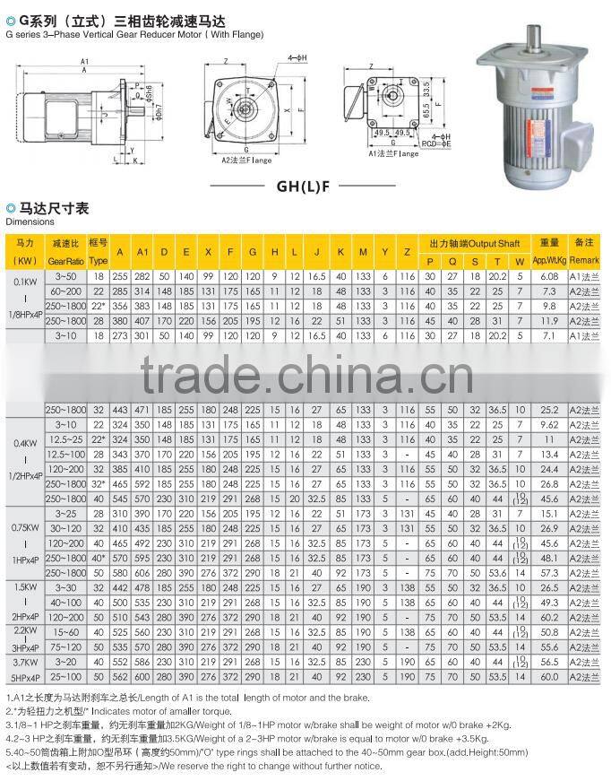 Single Phase Electric Motor with Reduction Gear