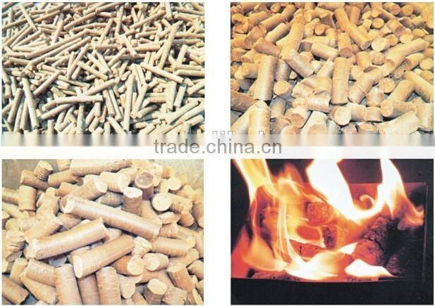 China high performance, professional design wood pellet machine!!! Wear resisting, multifunctional!!