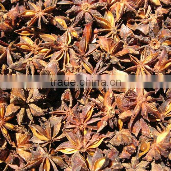 Star aniseed autumm crop Chinese