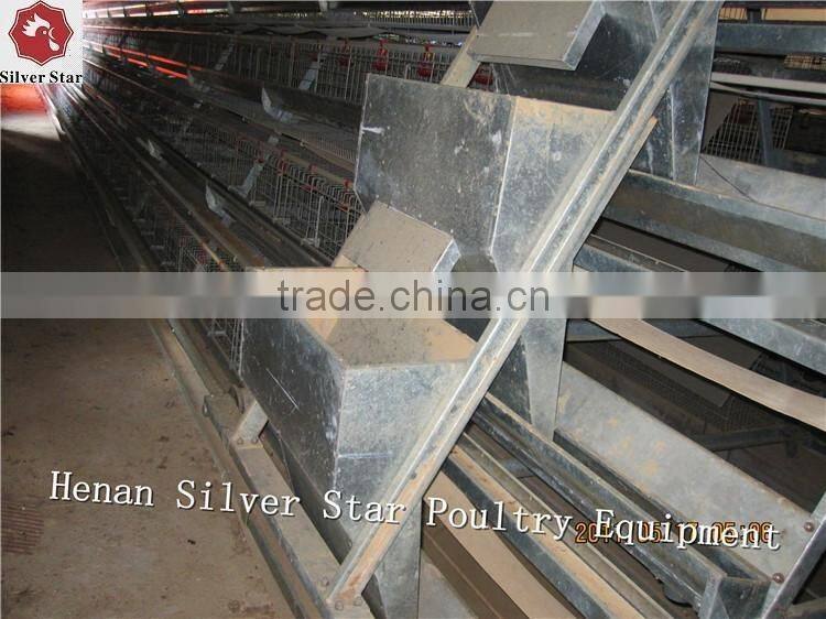 3 tier design A type ladder layer cages for chickens with scarpper manure removal system