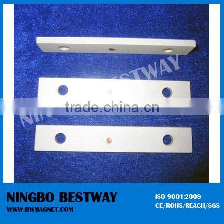 Un-Coated Rare Earth Block SmCo Magnets