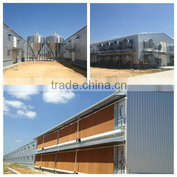 2015 modern broiler house construction