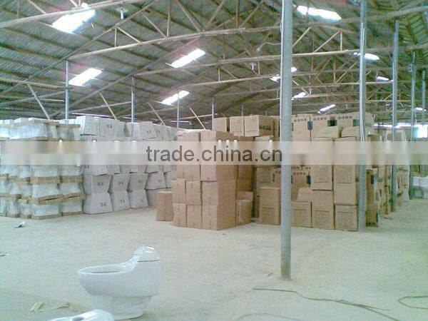 Ceramic Western Washdown Wall Hung Water Closet