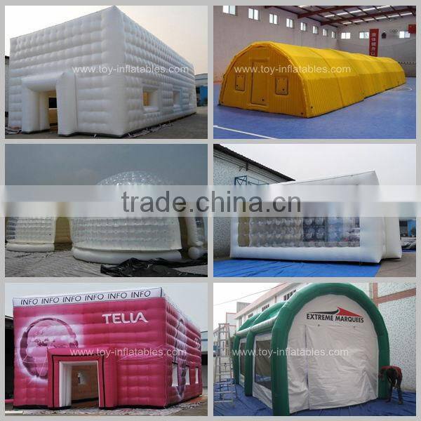 Beautiful customized clear inflatable tent
