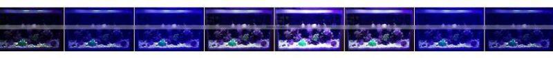 48''-60'' Fixture Aquarium LED Light Fresh Saltwater Marine LED Aquarium Light Programmable Fish Tank Light LED, Thunder
