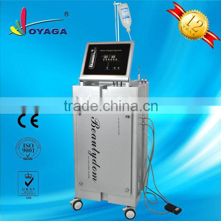skin oxygen spray and injection beauty machine/skin oxygen therapy equipment/ Skin Rejuvenation Oxygen Jet Peel Machine H-008