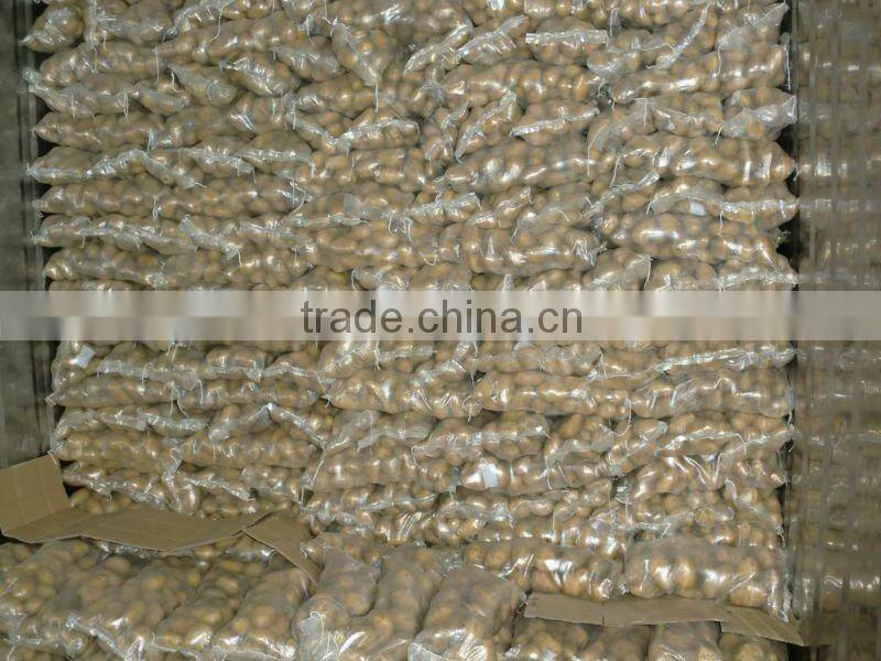 Sell 2013 Fresh Potatoes