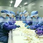 hot saled dried food FD corn powder