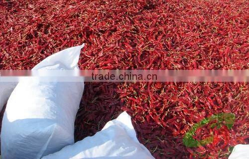Xinjiang Red Paprika Powder