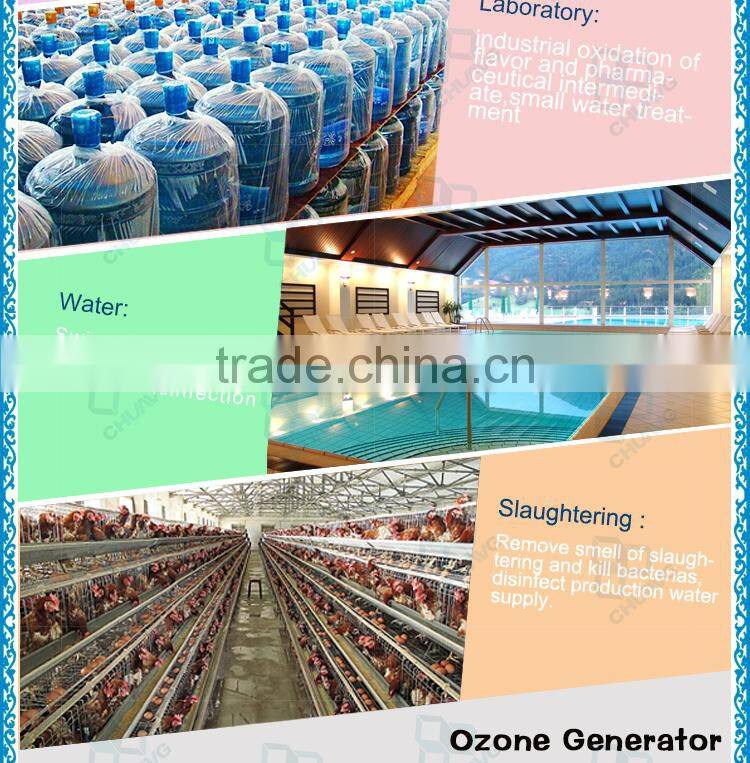 2014 New 30G complete ozone generator for aquaculture