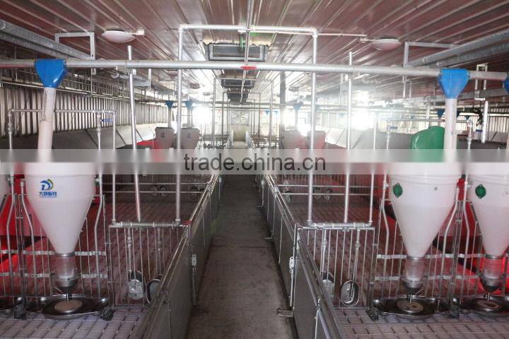 automatic feeding system for pig farm