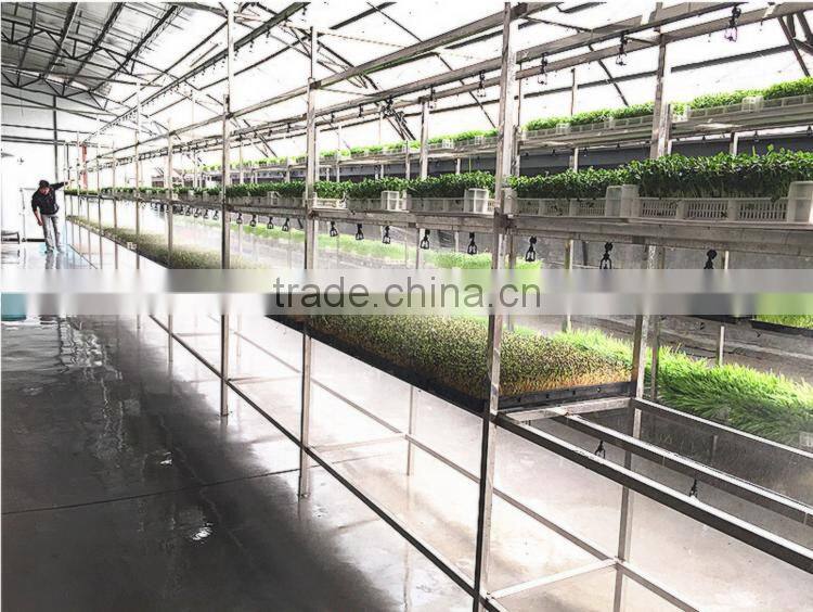 Neweek automatic water pouting alfalfa growing barley bean sprout machine