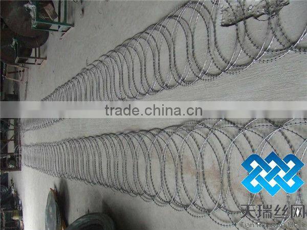 Razor barbed wire / Hot dip Galvanized razor barbed wire