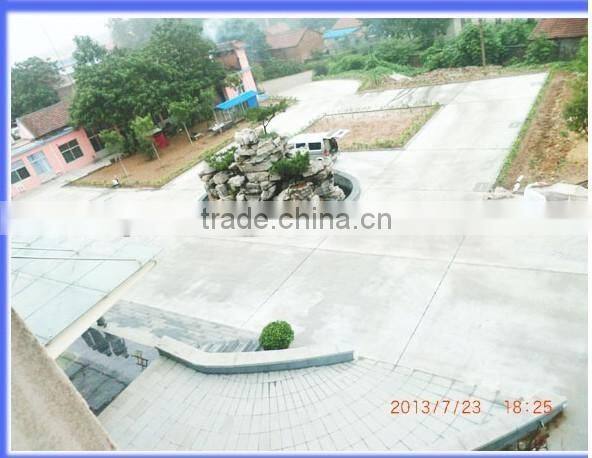 CSPM 2016 new hot sale rice husk pellet press for Malaysia