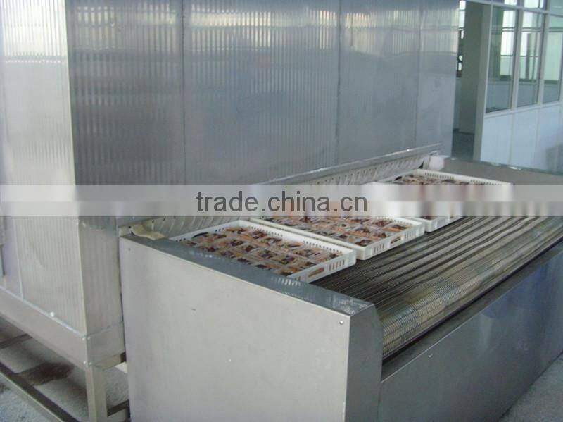 Best sale Tunnel Freezer