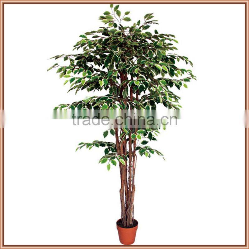 Good quality artificial ficus tree for abroad markets