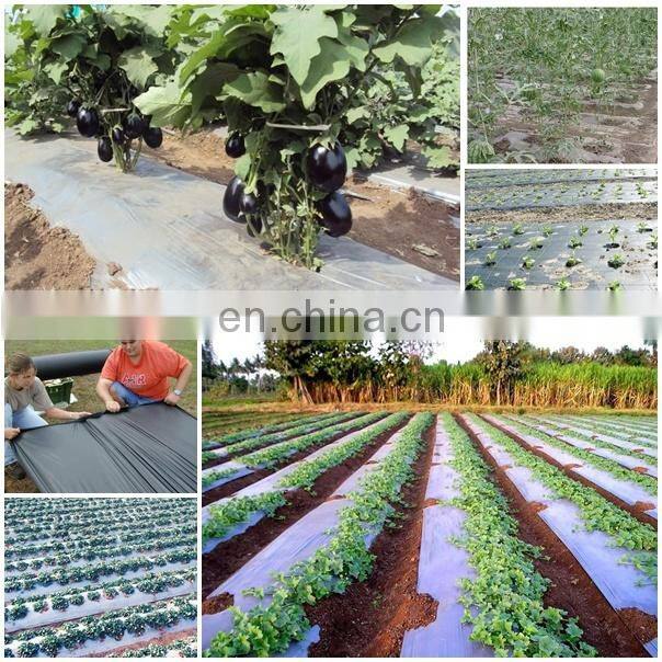 PE agricultural black and silver mulch film