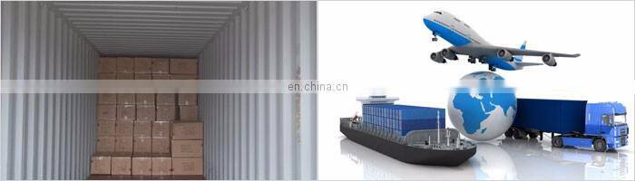 Full Digital Color Ultrasound Diagnostic System