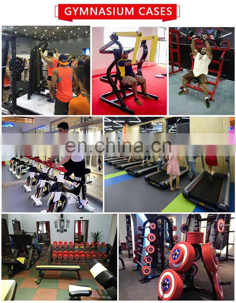 gym equipment hammer strength free weight seated dip