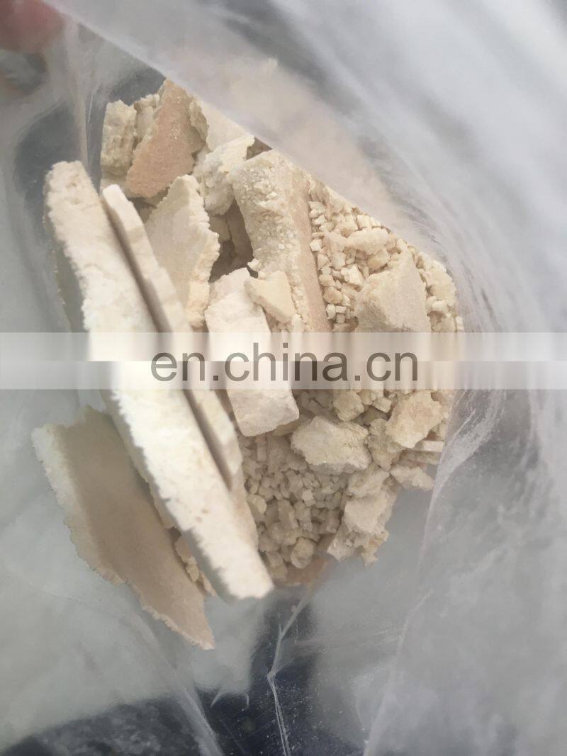 Vegetable lyophilization machine / lyophilizer for pharmaceutical