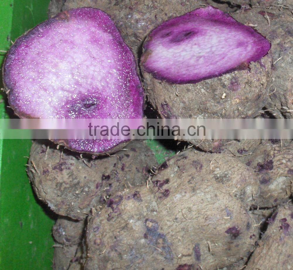 Frozen Purple Yam Tuber from Vietnam