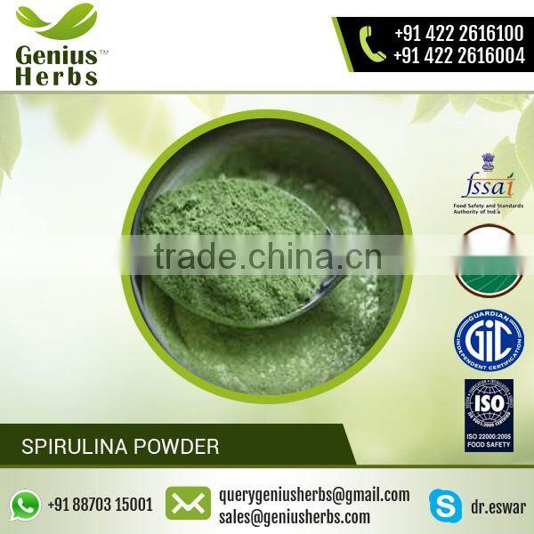 Natural Food Grade Spirulina Powder (Dietary Supplement) for Sale