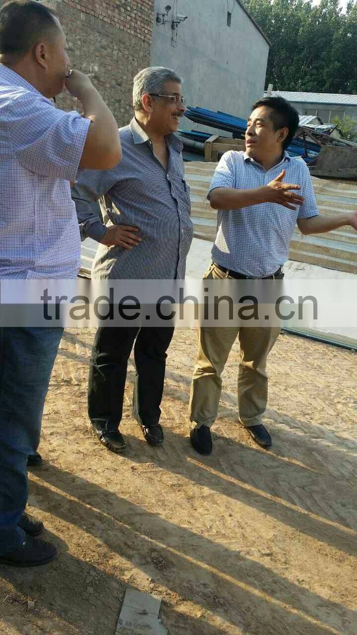 ZLP630 electric suspended platform