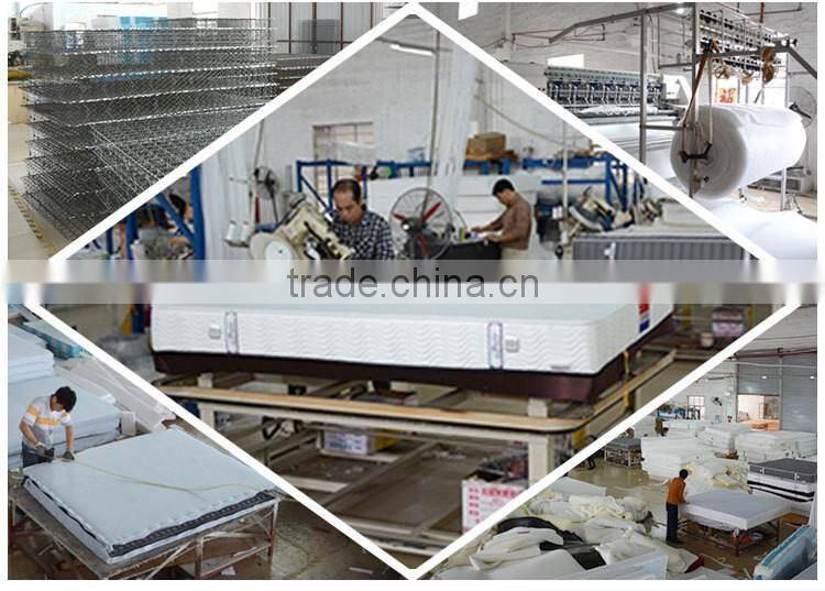 Latex Spring Rolled Mattress