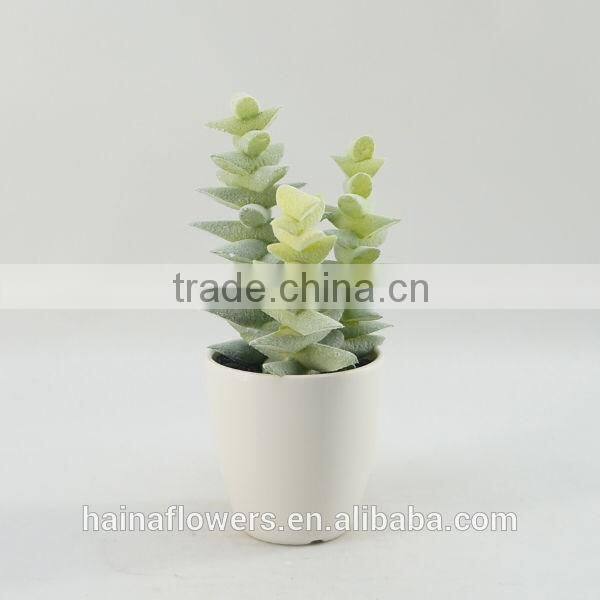 Natural looking real touch tropical artificial succulent plants