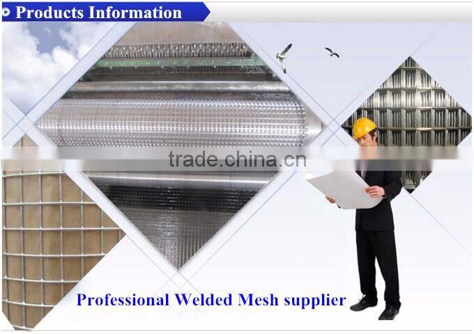 China PVC Coated Welded Wire Mesh Wholesale Price