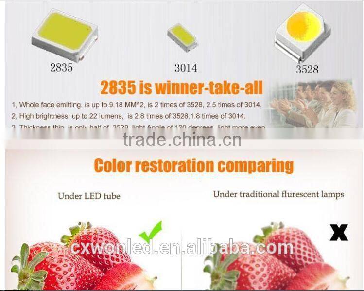 1200mm t8 tubes ac85-265v ce rohs approved 18w single pin t8 led tube XXX TUBE