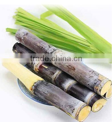 Commercial Electric ET-ZZJ83 Sugarcane juice extractor juicer machine