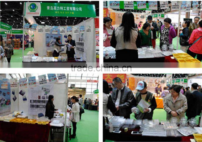 Transparent Pet Plastic Egg tray 6-30 Eggs tray