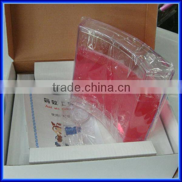 High quality Wholesale Magic Toy Ant Farm for children Education of Ant Worker