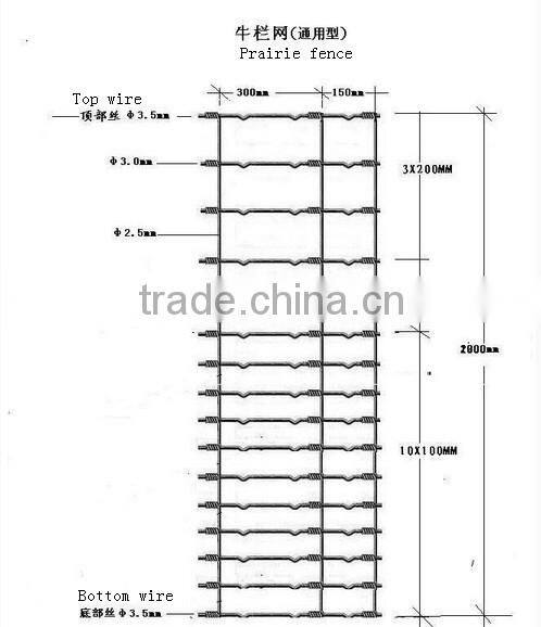 Guangzhou supplier manufacturing galvanized wire mesh roll wire horse gardening ZX-NLW002