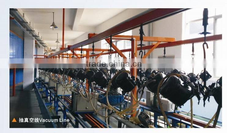 R600a series LBP domestic Refrigerator compressor