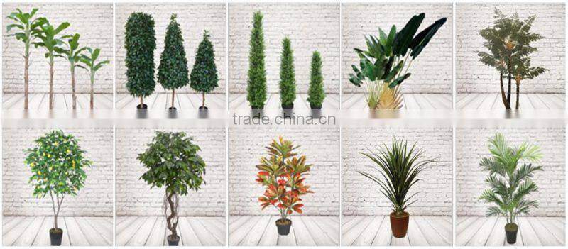 Home Decorative Artificial Bonsai Tree For Sale