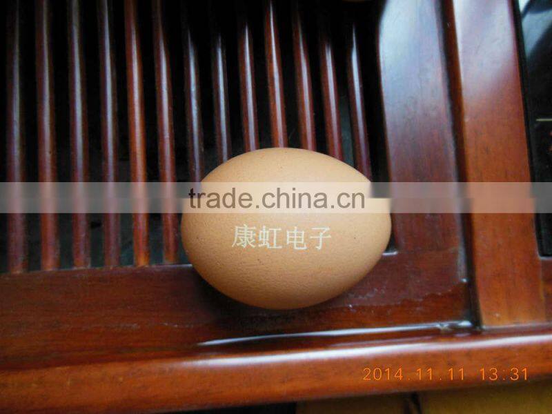 Green laser marking machine 3W/5W/8W/10W Logo marking,numbers mini ring engraving phone case laser marking machine memory card